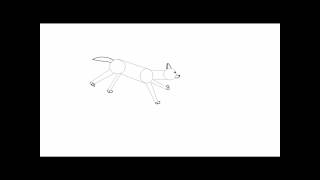 Wolf run cycle (rough draft)