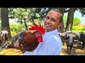 Desi Murgh Karahi Recipe | Desi Chicken Karahi | Mubashir Saddique | Village Food Secrets