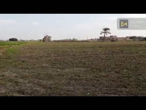 10 فدان بنها على طريق اسكندرية الزراعي