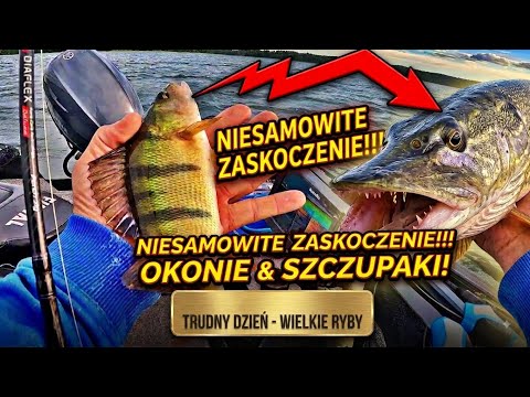 Te ryby niesamowicie mnie zaskoczyły!!! Co to był za dzień - letnie szczupaki i okonie na spinning!