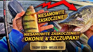 Te ryby mnie zaskoczyly Okonie i szczupaki latem z jeziora - czy tak je lowic