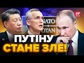 💥ТЕРМІНОВА заява з НАТО: Путіна чекають ПОГАНІ НОВИНИ / КИТАЙ розчарований брехнею РФ