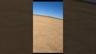 Model Tech P-51 Mustang Fast Flyby | Magnum .55 Engine RC Warbird