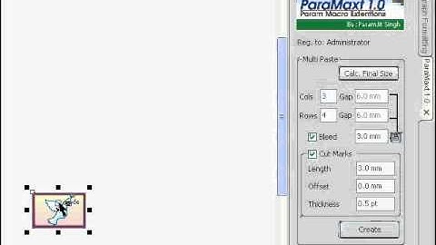 Corel VBA Macro (Multiple Paste)