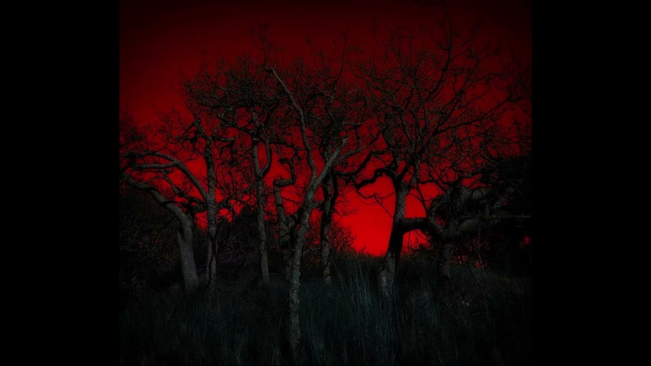 Haunted (Prod. 73Delta)