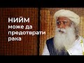 Как консумацията на нийм може да предотврати рака - Садгуру