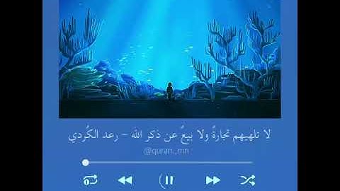 حالات واتس دينية ، ستوريات قرآن دينية ، راحة نفسية ، ستوريات2021 ، القارئ رعد الكردي 🤍