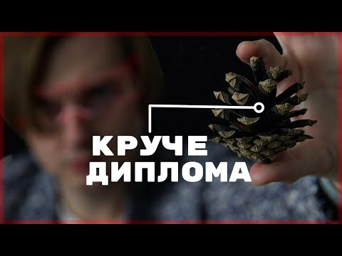 Диплом мертв: что нужно вместо него в 2025 году