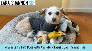 Dogs with anxiety, products to help - Expert Dog Trainer Tips by Lara Shannon 111 views 1 year ago 2 minutes, 40 seconds
