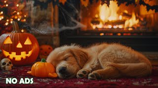 12 Hours Dog Calming Music 🐶🌈 Anti-Separation Anxiety Relief 🎵 Stress Relief Music for Dogs 💖No Ads