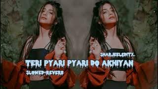 Teri Pyari Pyari Do Akhiyan - Slowed Reverb - Sajjna - Bhinda Aujla & Bobby Layal Feat. Sunny Boy
