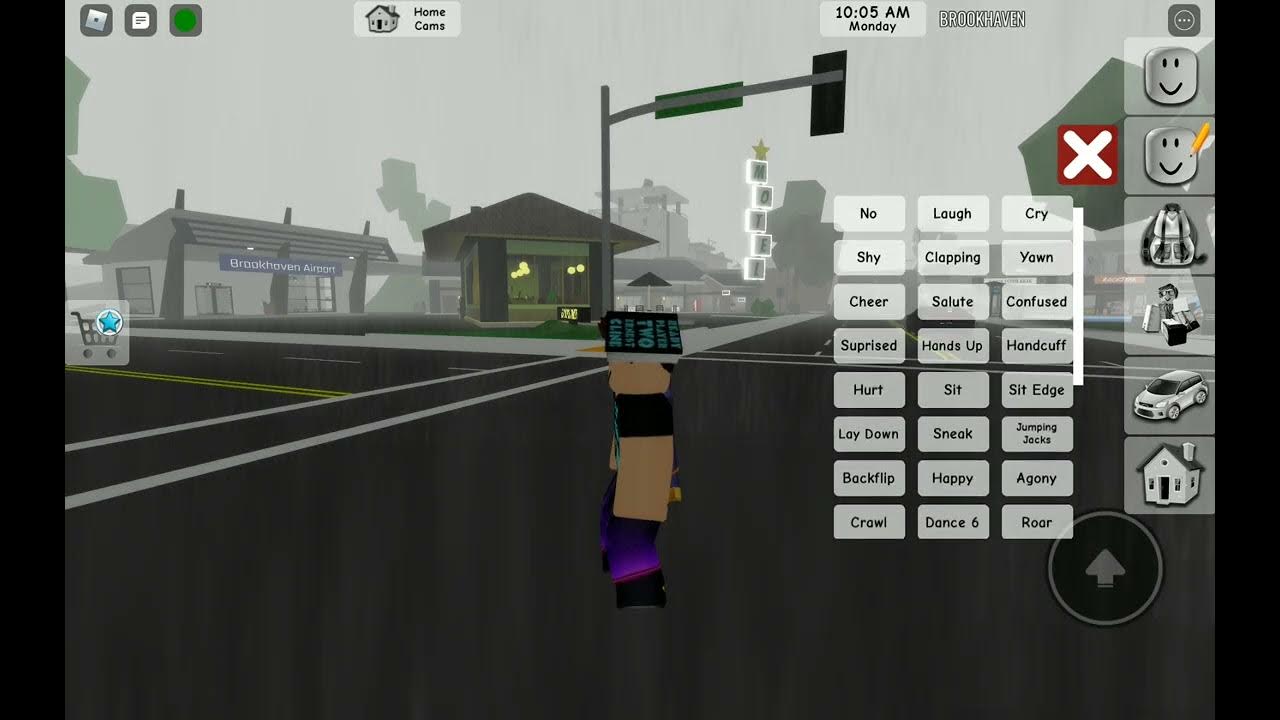 BROOKHAVEN DELETED ANIMATION "CPR" YouTube