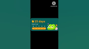 Duolingo widget part 2