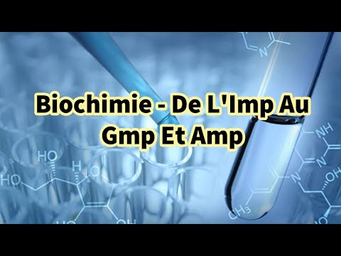 Vidéo: Qu'est-ce que IMP et GMP ?