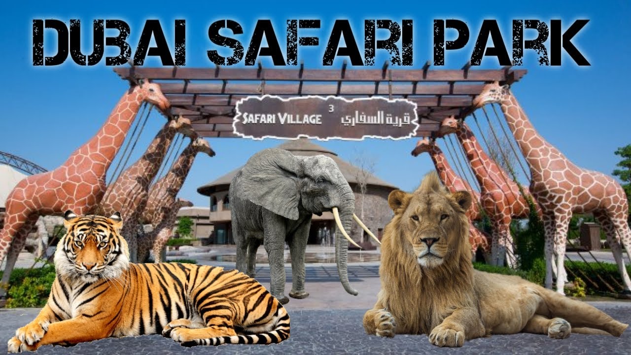 safari park dubai video