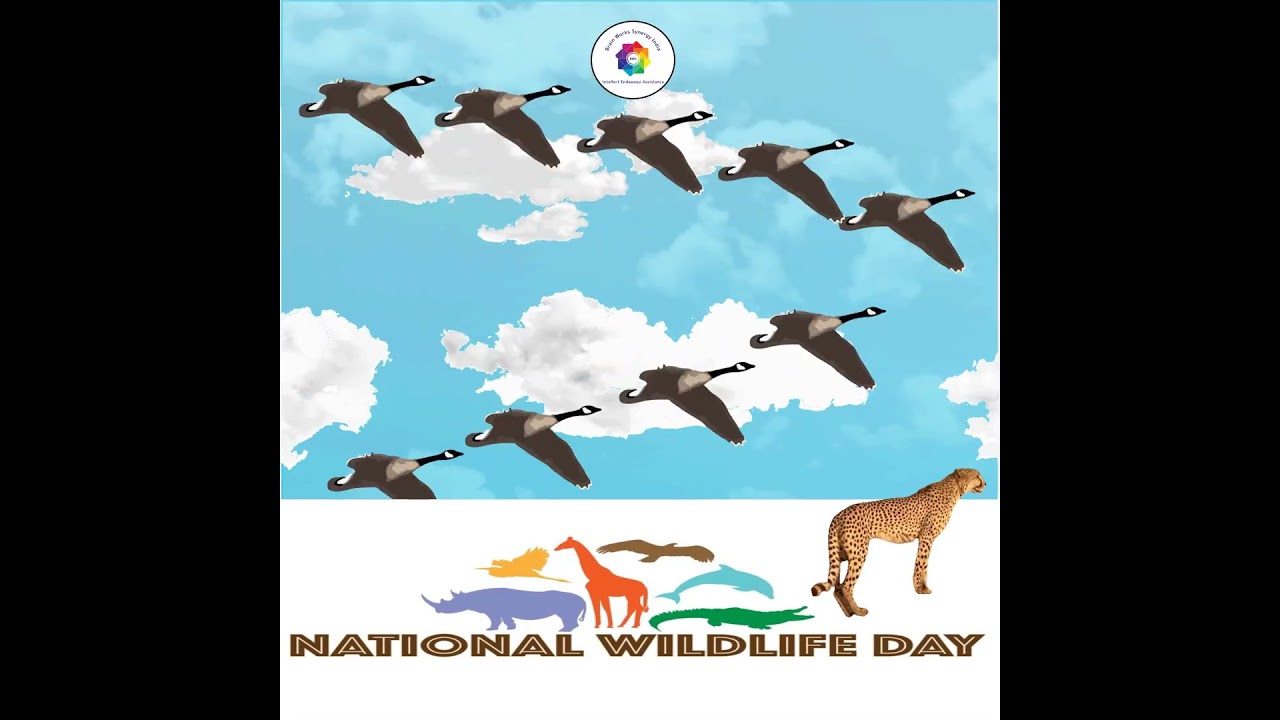 National Wildlife Day – September 4, 2024