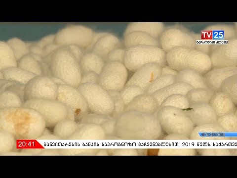 აჭარაში მეაბრეშუმეობის ტრადიციის აღდგენის პროცესი დაიწყო