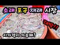 소래 포구 재래 어시장!! 꽃게, 전어, 전복 시세 확인후 여행 떠나 보세요!South Korean Fish Market Channel