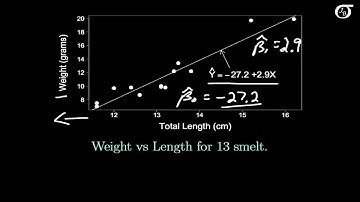Simple Linear Regression: Interpreting Model Parameters