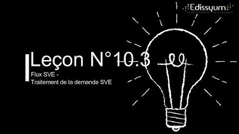 Leçon n°10.3 : Les saisines par voie électronique - le traitement