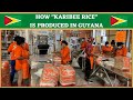 LET US TAKE A LOOK AT HOW "KARIBEE RICE" IS PRODUCED IN GUYANA