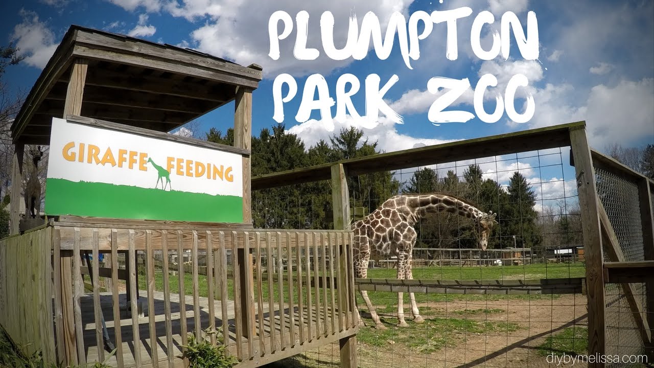 Plumpton Park Zoo Youtube