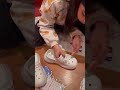 تنسيقي للكروكس شرايكم Shorts Short كروكس Crocs تنسيقي للكروكس شرايكم Shorts Short كروكس Crocs