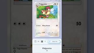 All About Pokémon in PTCGP (Pidgeotto)