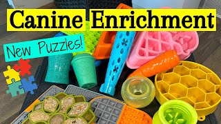 Canine Enrichment - New Puzzle Toys For My Dogs!