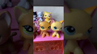 LPS Cats