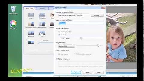 How to Crop or Resize Pictures with Picasa For Dummies
