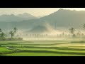 Gentle Rain Sounds for Sleep & Relaxation