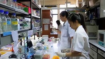 Faculty of Science, KU Presentation in Thai 2014