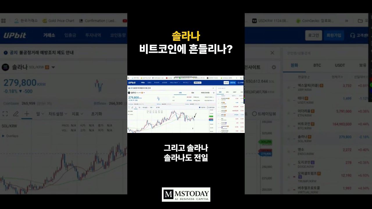 머니쇼츠-영상] 솔라나 비트코인에 흔들리나? - MS TODAY