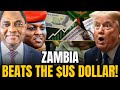 Warum Der Sambische Kwacha Im Jahr 2026 Zur Leistungsstärksten Währung Der Welt Wurde