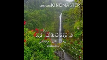قال تعالى :(جَنَّاتُ عَدْنٍ يَدْخُلُونَهَا …)سورة النحل ٣١