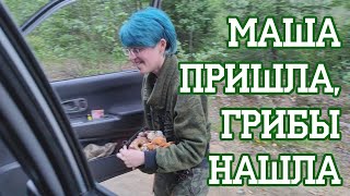 Мария Маркина - расхитительница грибниц