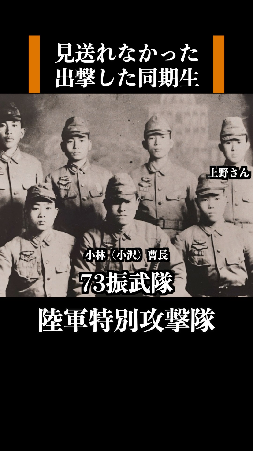 Amazon.co.jp: BWドイツ軍連邦軍＊戦闘機パイロット在郷軍人会