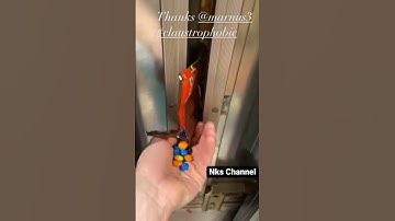 Steve Smith | Marnus Labuschagne helping Smudge | 2021 😌😌 Part 2