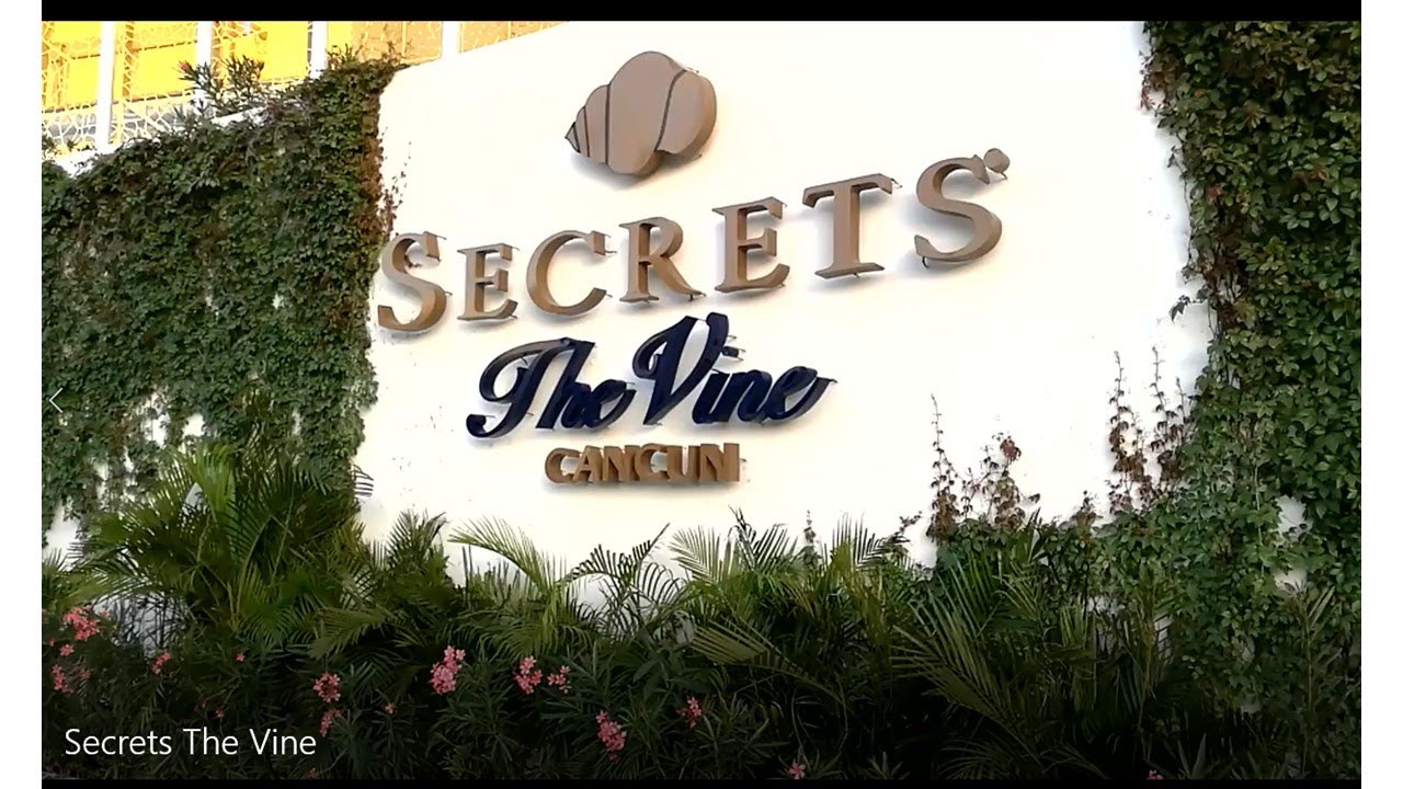 secrets the vine secrets the vine