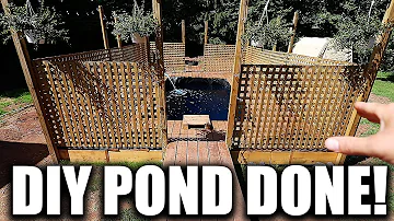 The DIY pond is FINISHED!! (AQUARIUM FISH SWIMMING POND!!)