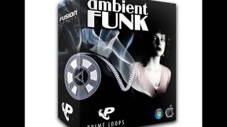 Prime Loops Ambient Funk Prime Loops Ambient Funk