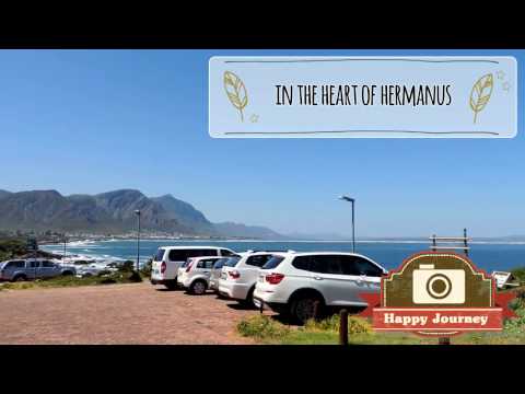 Top 5 Hermanus: General Attractions and more  (Details in Description)