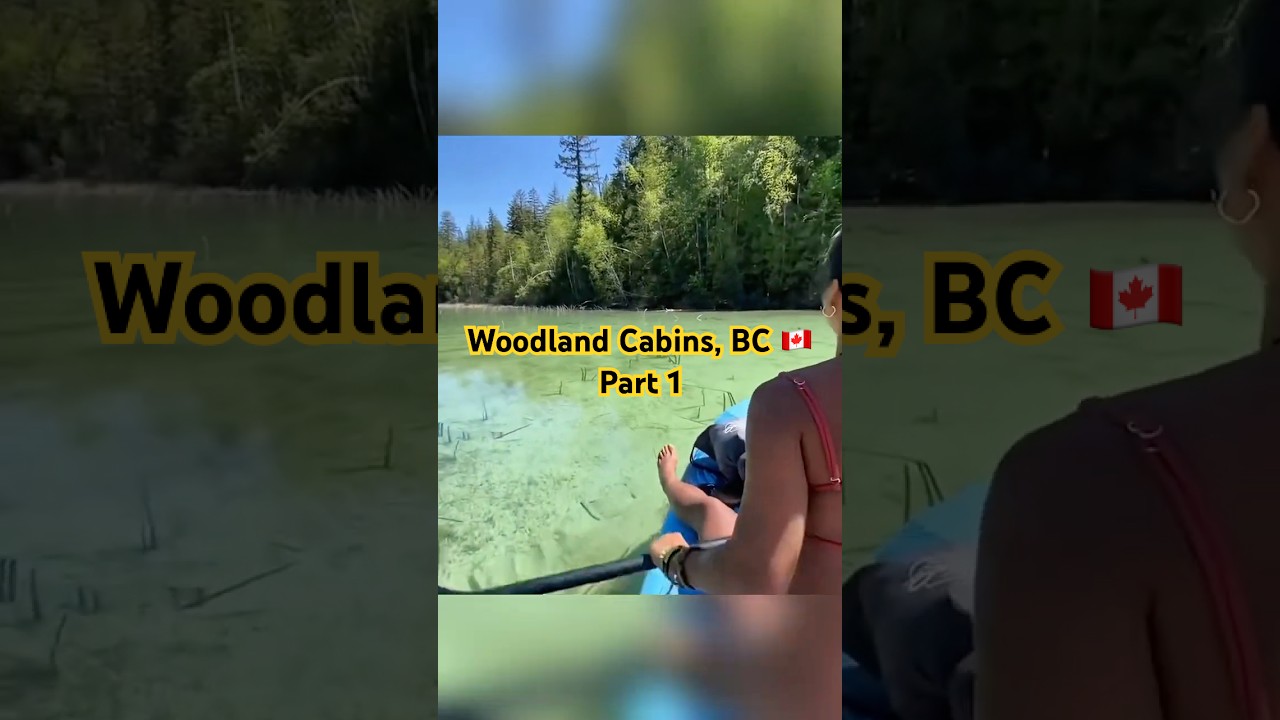 Woodland Cabins Airbnb, Shuswap, BC 🇨🇦 Part 1 