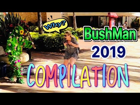 bushman-hawaii-2019-compilation