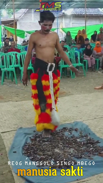 MANUSIA SAKTI 2023  || ATRAKSI DEBUS REOG MANGGOLO SINGO MBEGO