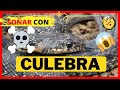 Qué significa soñar con CULEBRA