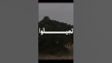 تلاوة خاشعة للشيخ علي جابر | تلاوات نادرة تهز القلوب #المصحف_المرتل