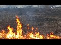 В Зарайске поджигателя сухой травы поймали пожарные