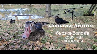 Дъждовни приключение в комплекс Айтите #carpfishing #fishing #carp #риболов #grass #fish